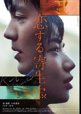 txt下载格式说明配图
